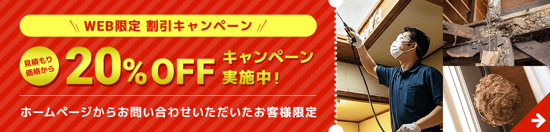 WEB限定割引キャンペーン 20%OFF