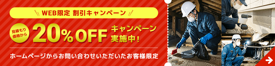 WEB限定割引キャンペーン 20%OFF