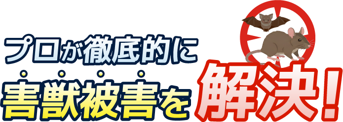 プロが徹底的に害獣被害を解決！