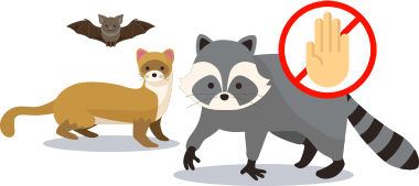 害獣を勝手に捕獲・駆除するのは法律違反のイラスト