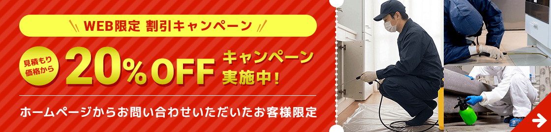 WEB限定割引キャンペーン 20%OFF