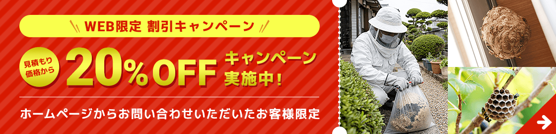 WEB限定割引キャンペーン 20%OFF