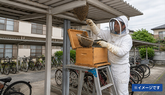 駆除イメージ