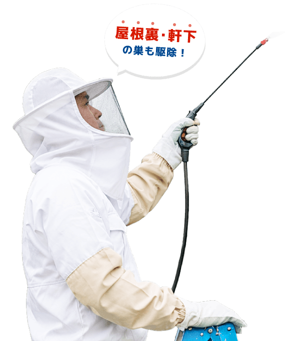 スタッフ画像
