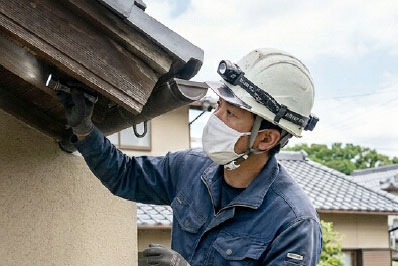 コウモリ駆除作業イメージ
