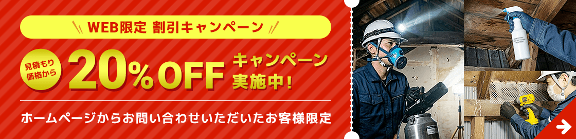 WEB限定割引キャンペーン 20%OFF