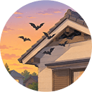 日暮れ時に屋根のすき間から黒い影が飛び出す…
