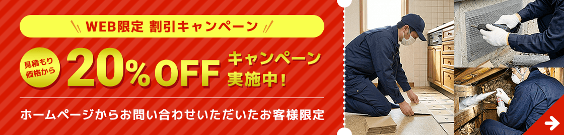 WEB限定割引キャンペーン 20%OFF
