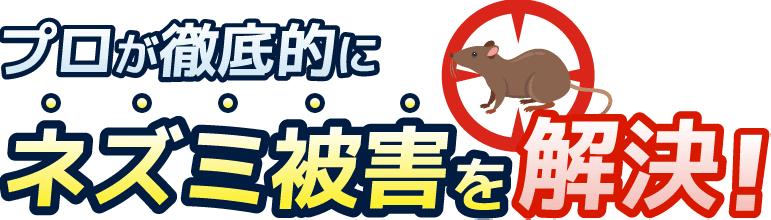 プロが徹底的にネズミ被害を解決！