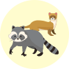 その他の害獣イメージ