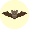 コウモリイメージ