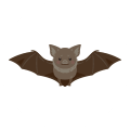 コウモリのイラスト