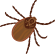 ダニ