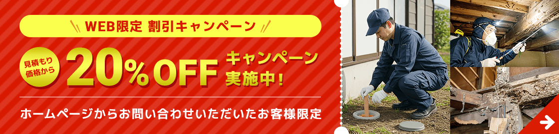 WEB限定割引キャンペーン 20%OFF